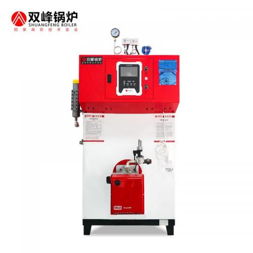 燃气（油）蒸汽发生器300公斤