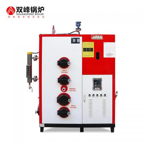 生物质蒸汽发生器350公斤